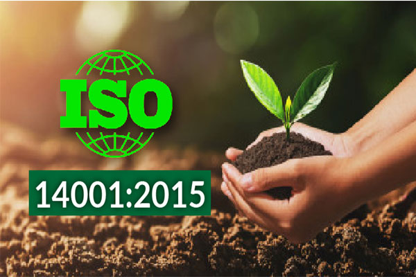 ISO 14001 roles and responsibilities