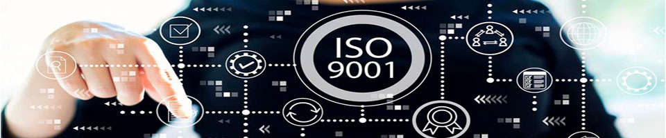 iso 9001 guidelines