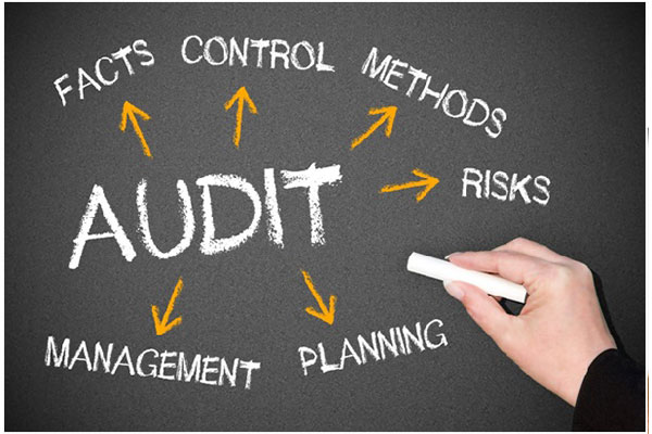 How does an ISO 9001 audit work?