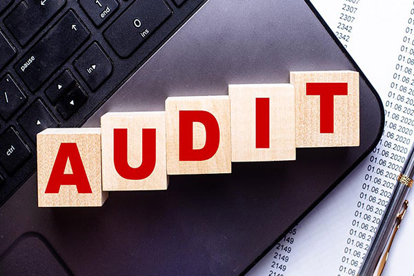 What are the five process steps to an audit?