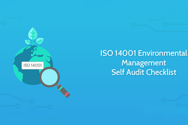 iso 14001 auditing