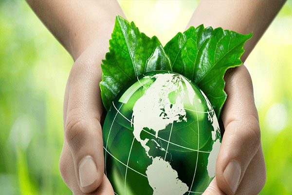 why do we need ISO 14001?