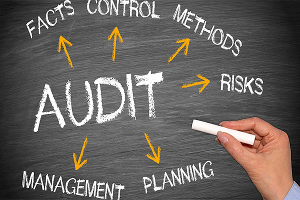 Special Audits of AEO standard