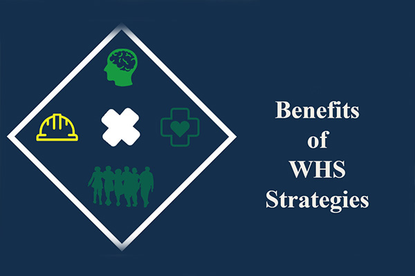 why should we use WHS?