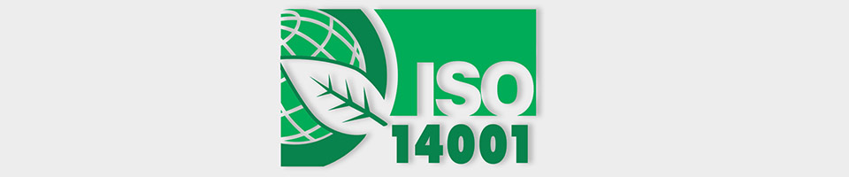 ISO 14001 consultancy procedure