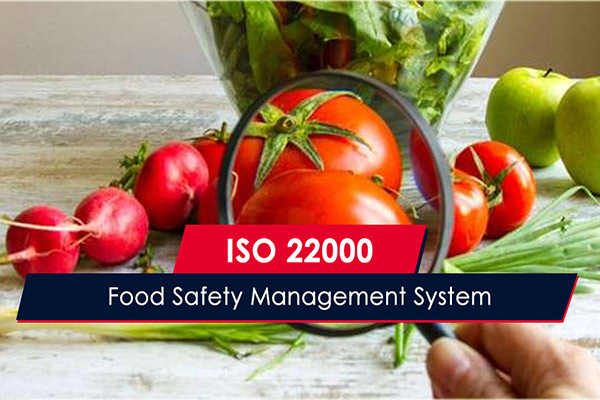 what is iso 22000 describe the key elements