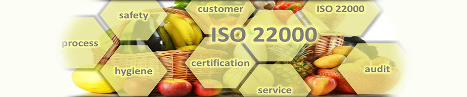 ISO 22000 audit