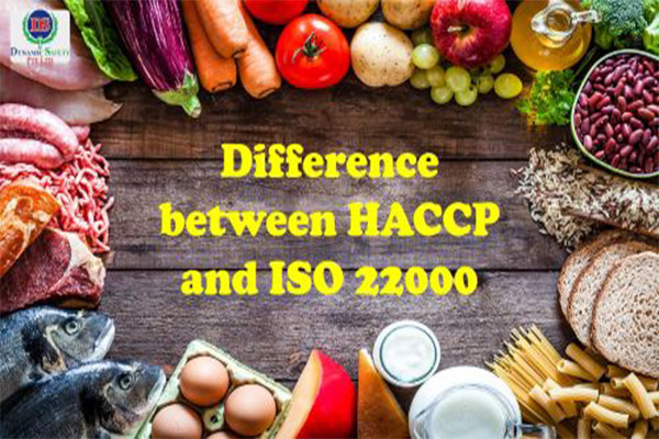 what is the difference between haccp certification and iso certification