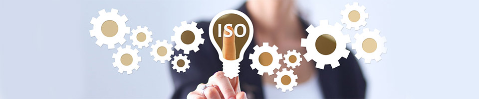 iso 9001 2015 roles and responsibilities