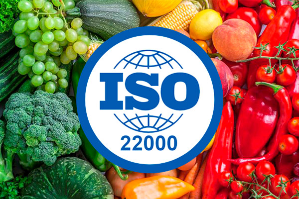 what is ISO 22000?