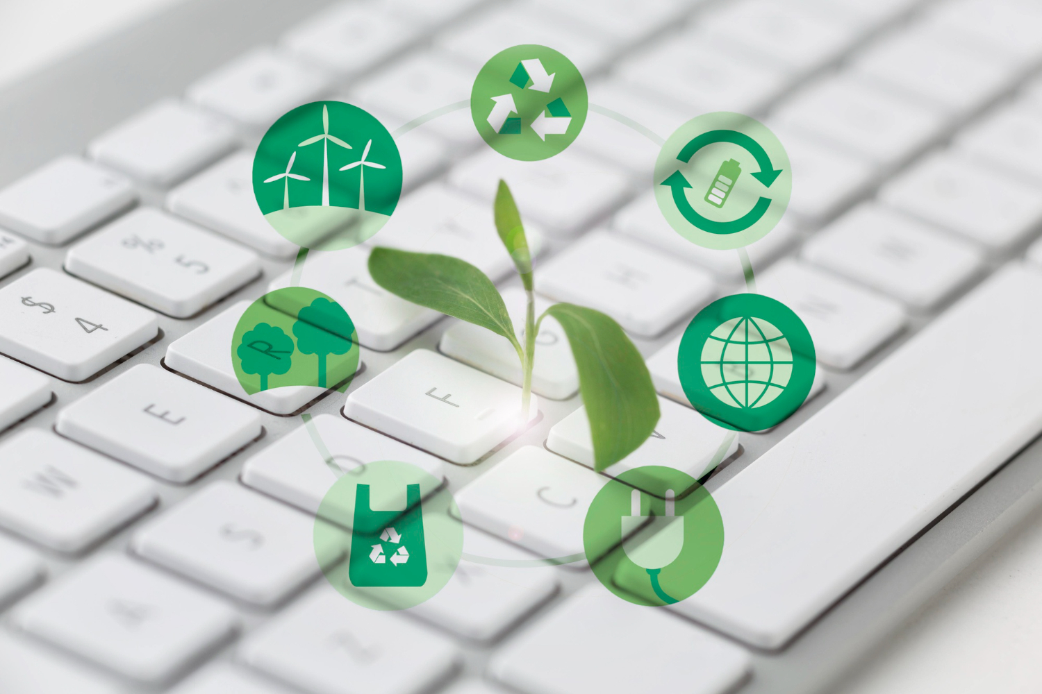 environment standards